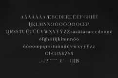 Silver Queen Serif Elegant Typeface for Branding Product Image 5