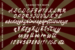 Andara Vintage Product Image 5