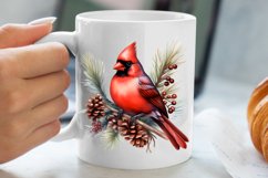 Christmas Cardinal Watercolor Clipart, Christmas Cardinal Product Image 5