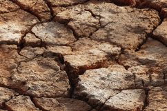 Dry Cracked Desert Earth Background Product Image 1