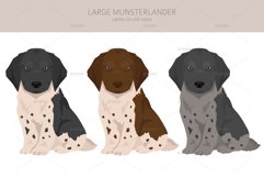 Large Munsterlander clipart Product Image 4
