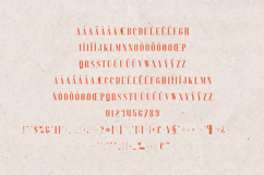 Perfectly Splendid Serif Font Elegant Display Product Image 5