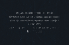 LEAL Elegant Modern Serif Font Product Image 5