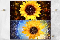 Magic Sunflower | Summer Sublimation Mug design bundle, JPG Product Image 5