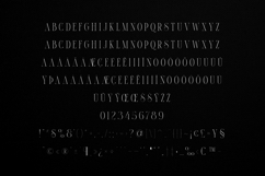 Thorn Tale Elegant Modern Serif Display Font Product Image 5