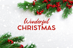 Snowberry Brush Product Image 5