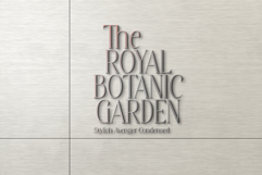 Stylish Avengers Serif Family Product Image 6