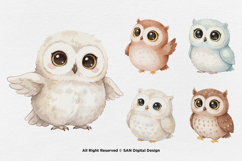 15 Bundle Watercolor Baby Owl Sweet Bird Animal Flying Smart Product Image 5