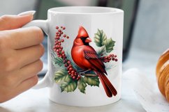 Christmas Cardinal Watercolor Clipart, Christmas Cardinal Product Image 5