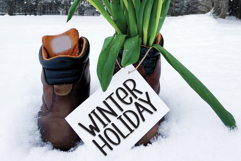 Bookmark Product Image 5