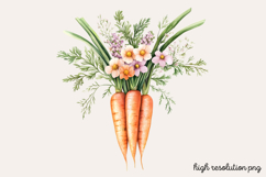 Carrot Watercolor Cliparts Bundle PNG Product Image 8