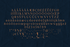 Creators Type Serif Font Elegant Soft Editorial Product Image 5