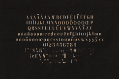 Black Goose Elegant Luxury Serif Font Product Image 5