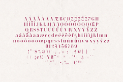 Wonderz Avant Edition Modern Artistic Serif Font Product Image 5