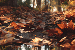 Golden Autumn Fallen Leaves Ground Texture Background Product Image 1