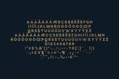 Esquie Modern Bold Sans Serif Font Product Image 5