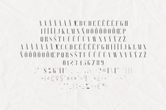 Searchlight Luxury High Contrast Serif Font Product Image 5