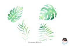 Leaves Watercolor clipart Product Image 5