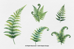 15 Bundle Watercolor Fern Leaf Botanical Aesthetic Tropical Product Image 5