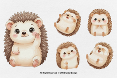 15 Bundle Watercolor Hedgehog Animal Cartoon Kids Thorns Product Image 5
