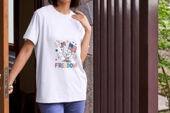 Funny 4th of July Goose PNG Bundle Product Image 5