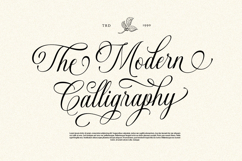 Gastonia Script Product Image 5