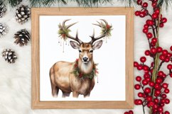 Watercolor Christmas Deer Sublimation Bundle, Christmas Deer Product Image 4