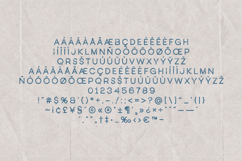 Nost Sans Rough Textured Sans Serif Font Product Image 5