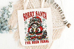 Sorry Santa I&#039;ve Been Feral Png, Christmas Raccoon png. Product Image 6