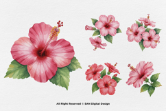 15 Bundle Watercolor Hibiscus Flower Blossom Hawaiian Floral Product Image 5