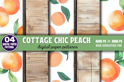 Cottage chic peach Digital Background Paper PNG Product Image 1