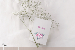 Watercolor peonies cliparts bundle Product Image 5
