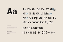 Husr Necian - Bold Serif Typeface Product Image 5