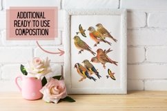 Vintage Birds, Antique Birds Clipart Product Image 5