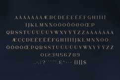 Nelipot Organic Serif Font Product Image 5