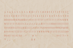 THORN TALE Elegant Serif Font Product Image 5