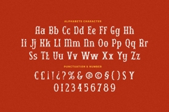 Biokes - Vintage Display Font Product Image 5