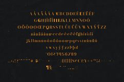 MAGOA Elegant Modern Serif Font Product Image 5