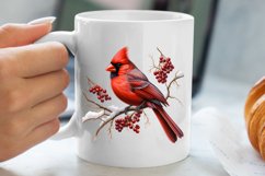 Christmas Cardinal Watercolor Clipart, Christmas Cardinal Product Image 5