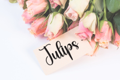 Autography Product Image 5