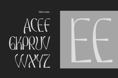 Univars - Sans Serif Simple Product Image 5
