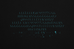 Future Flow Modern Elegant Display Serif Font Product Image 5