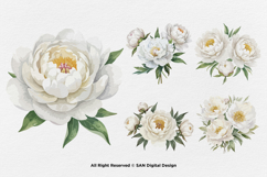 15 Bundle Watercolor White Peony Flower Ivory Wedding Product Image 5