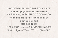 Dense Rough Edition Distressed Vintage Product Image 5