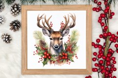 Watercolor Christmas Deer Sublimation Bundle, Christmas Deer Product Image 4