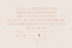 Maturation Elegant High-Contrast Serif Font Product Image 5