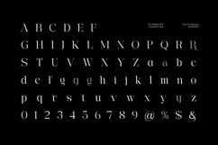 Rengok - Aesthetic Serif Font Product Image 5