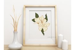 Magnolia SVG, white flowers bundle, fine art floral bouquet Product Image 3