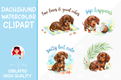 4 Dachshund Summer Watercolor Cliparts Product Image 1