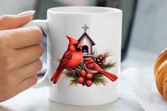 Christmas Cardinal Watercolor Clipart, Christmas Cardinal Product Image 5